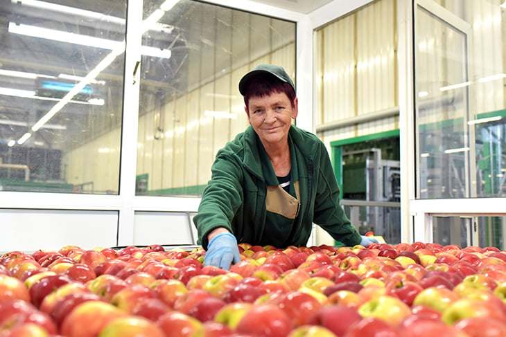 Femme plus âgée souriante triant des pommes rouges dans une installation de production alimentaire